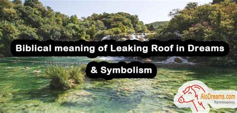 dream roof leaking|Roof Is Leaking Dream Meaning: What Does It。